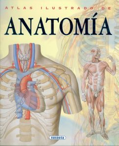 Atlas ilustrado de Anatomía P