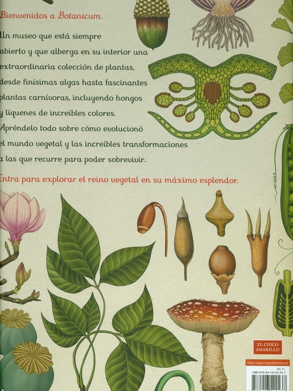 Botanicum C