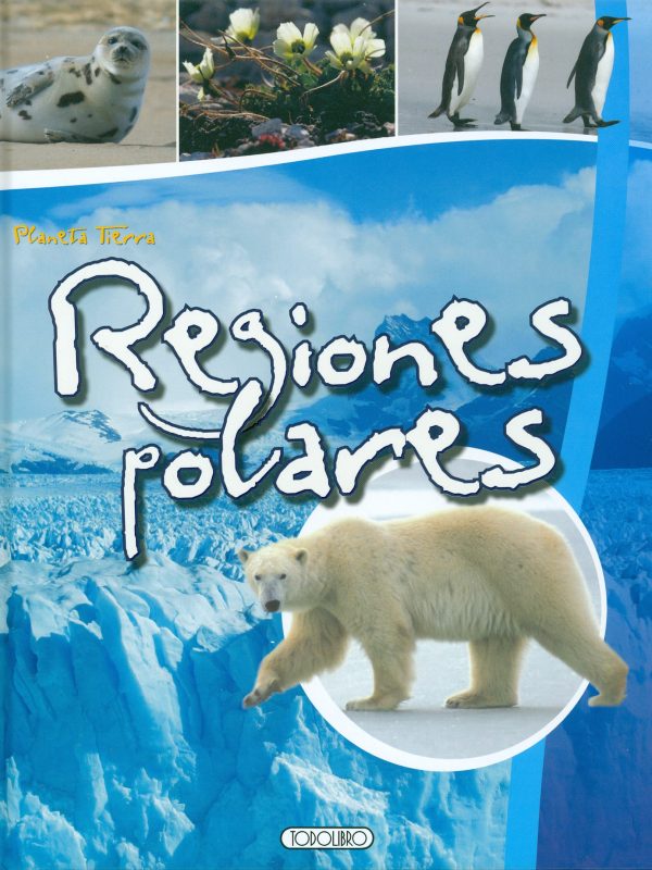 Regiones polares P
